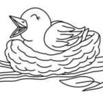 Dibujo de pájaro en nido para imprimir y colorear