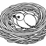 Dibujo de un nido de pájaros para imprimir y colorear