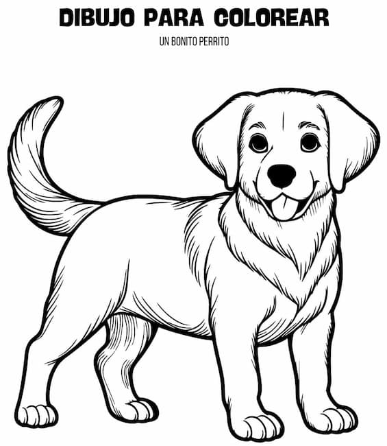 Dibujo para imprimir y colorear - Un bonito perro
