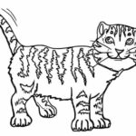 Dibujo para imprimir y colorear - un gato