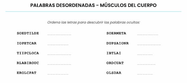 Pasatiempo de palabras desordenadas – Músculos del cuerpo humano